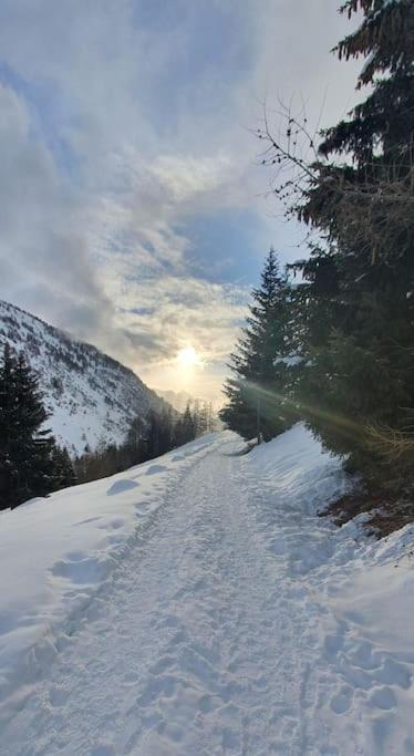 فيلا Residenza Sofia - Ponte Di Legno Fraz. Pezzo المظهر الخارجي الصورة
