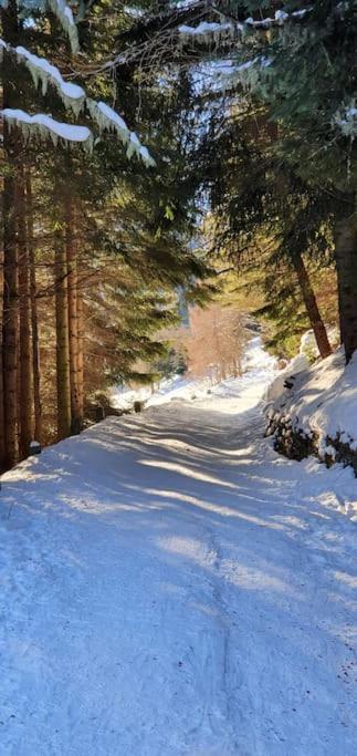 فيلا Residenza Sofia - Ponte Di Legno Fraz. Pezzo المظهر الخارجي الصورة